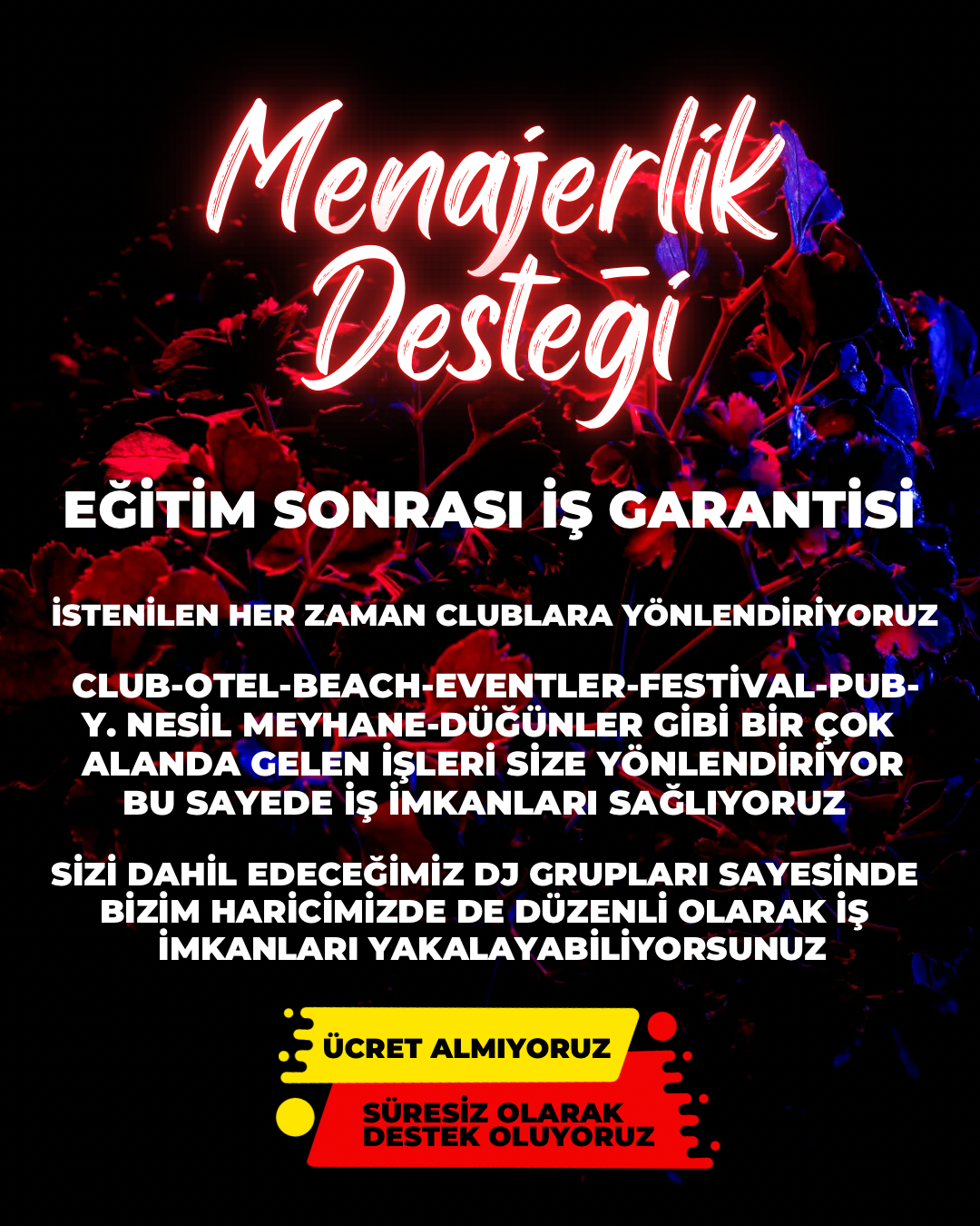 Menajerlik